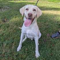 Thumbnail photo of Ludwig #3