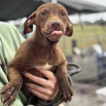 Thumbnail photo of Egon #1