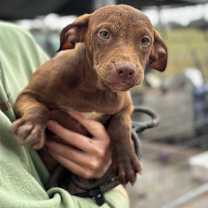 Thumbnail photo of Egon #2