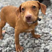 Thumbnail photo of Dana #1