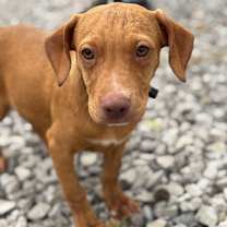 Thumbnail photo of Dana #2