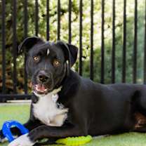 Thumbnail photo of Marvin #2