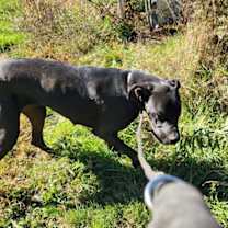 Thumbnail photo of Darcey #2