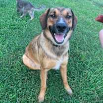 Thumbnail photo of Pepper #1