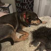 Thumbnail photo of Dinah #4