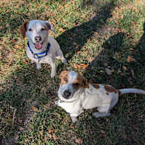 Thumbnail photo of Remi #2