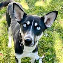 Thumbnail photo of Sunshine #1