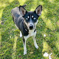 Thumbnail photo of Sunshine #3