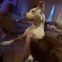 Thumbnail photo of Ribbit #4