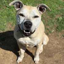 Thumbnail photo of Athena #1