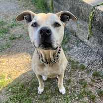 Thumbnail photo of Athena #3