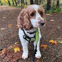 Thumbnail photo of Barry #2