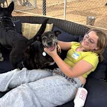 Thumbnail photo of Tiger Thai #4