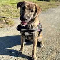 Thumbnail photo of Bessie #1