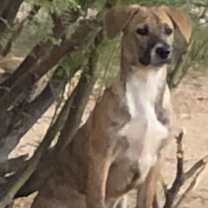 Thumbnail photo of Bessie #2