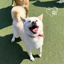 Thumbnail photo of Agnes #3