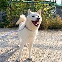 Thumbnail photo of Agnes #4