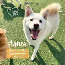 Thumbnail photo of Agnes #1