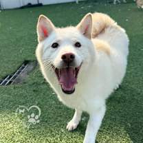 Thumbnail photo of Agnes #2