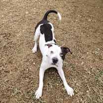 Thumbnail photo of King Zeus #4