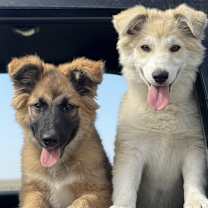 Thumbnail photo of Hutton #2