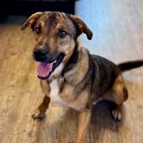 Thumbnail photo of Donnie #1