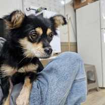 Thumbnail photo of Edge #1