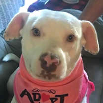 Thumbnail photo of Little Bit #1