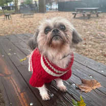 Thumbnail photo of Santana #3