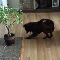 Thumbnail photo of Vern #4