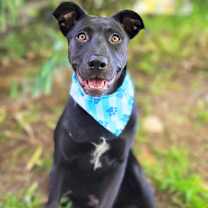 Thumbnail photo of Smokey Bear #2