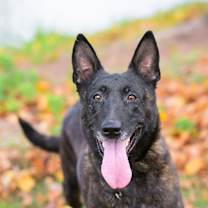 Thumbnail photo of Alanna #1