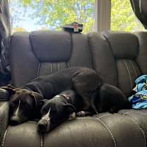 Thumbnail photo of Kevin and Karen #1