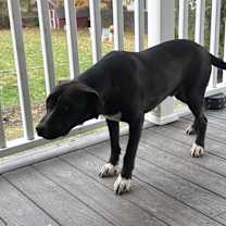 Thumbnail photo of Kevin and Karen #3