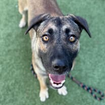 Thumbnail photo of Delphine #3