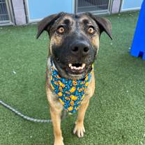 Thumbnail photo of Delphine #4