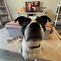 Thumbnail photo of Zola #2