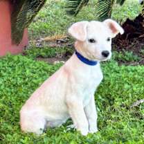 Thumbnail photo of Abby #3