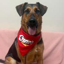 Thumbnail photo of Calli #3