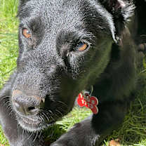 Thumbnail photo of Christina Waguilara #3