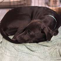 Thumbnail photo of Tamiko #3