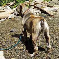 Thumbnail photo of JULIE #4