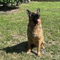 Thumbnail photo of Max 3140 #1