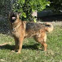 Thumbnail photo of Max 3140 #2