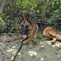 Thumbnail photo of Max 3140 #3