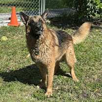 Thumbnail photo of Max 3140 #4