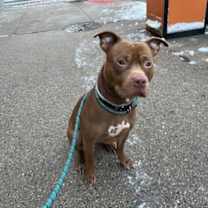 Thumbnail photo of Oats #2