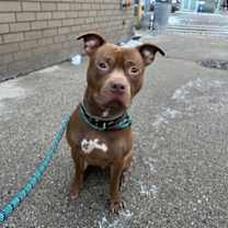 Thumbnail photo of Oats #3