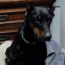 Thumbnail photo of Marilyn Monroe #2