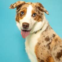 Thumbnail photo of Max #1